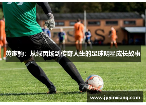 黄家驹：从绿茵场到传奇人生的足球明星成长故事