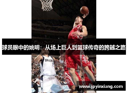 球员眼中的姚明：从场上巨人到篮球传奇的跨越之路